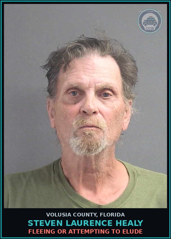 Booking mugshot of STEVEN LAURENCE HEALY in Volusia County