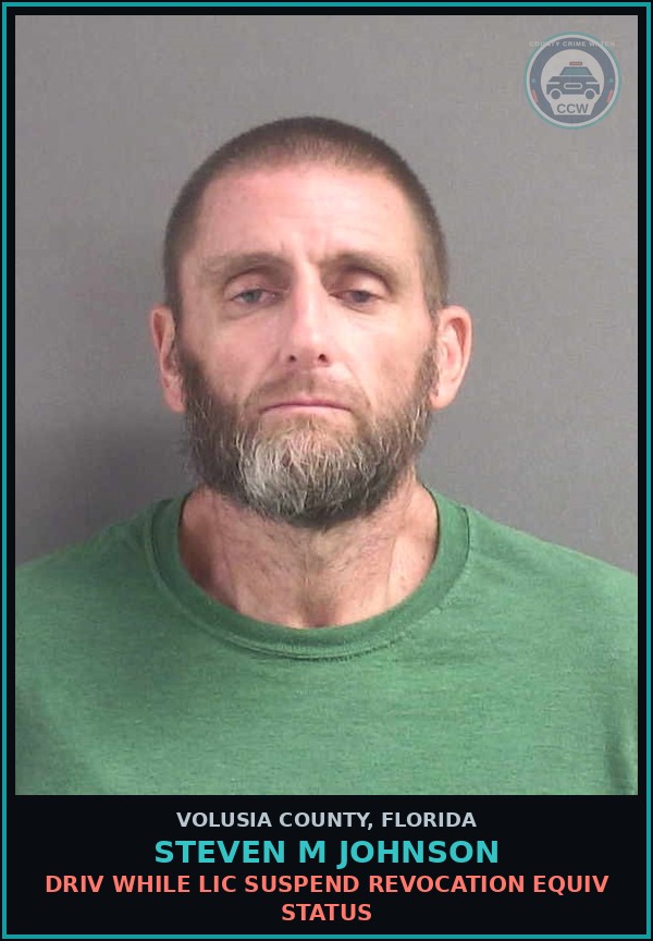Booking mugshot of STEVEN M JOHNSON in Volusia County