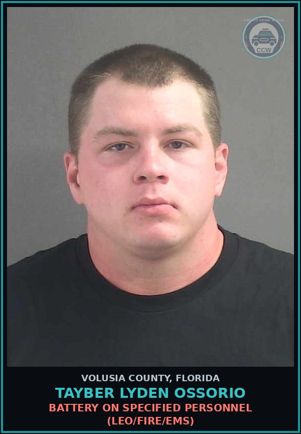 Booking mugshot of TAYBER LYDEN OSSORIO in Volusia County