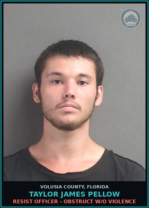 Booking mugshot of TAYLOR JAMES PELLOW in Volusia County