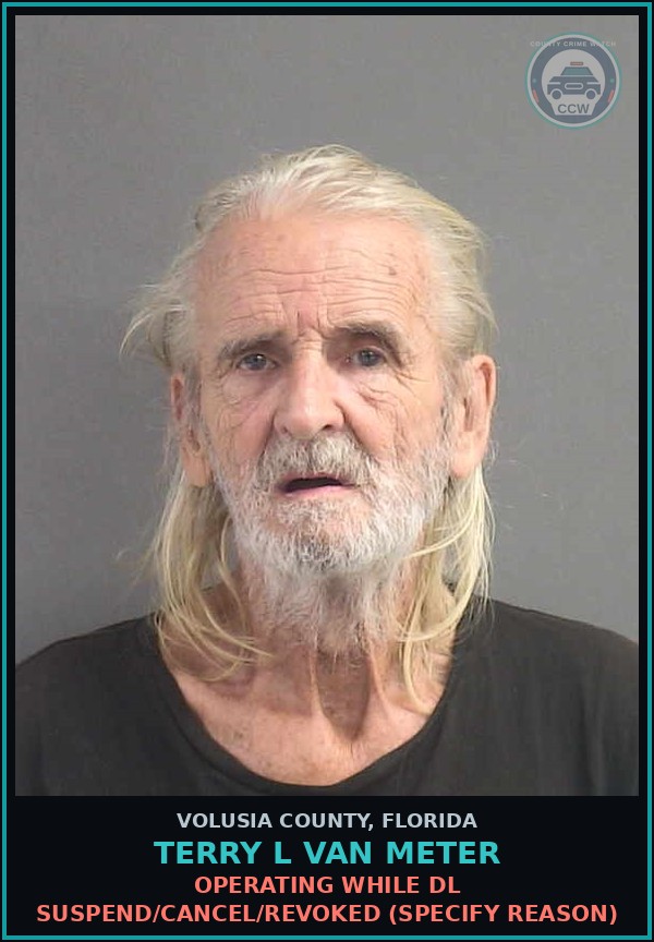 Booking mugshot of TERRY L VAN METER in Volusia County