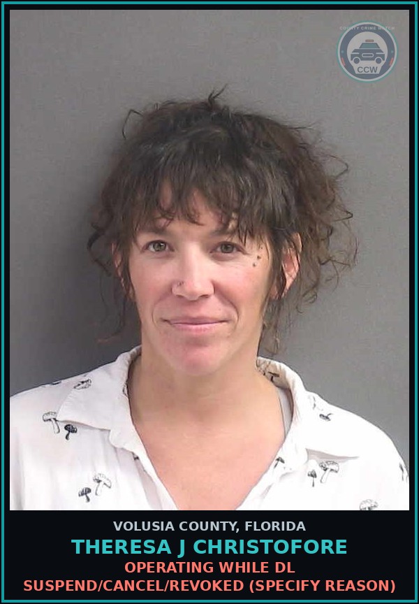 Booking mugshot of THERESA J CHRISTOFORE in Volusia County