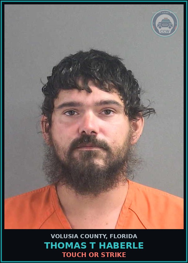 Booking mugshot of THOMAS T HABERLE in Volusia County