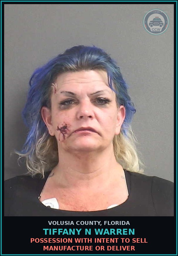 Booking mugshot of TIFFANY N WARREN in Volusia County