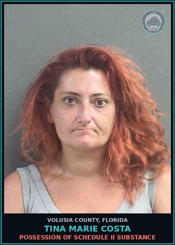 Booking mugshot of TINA MARIE COSTA in Volusia County