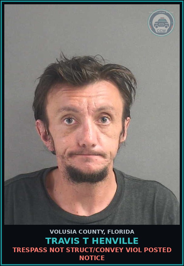 Booking mugshot of TRAVIS T HENVILLE in Volusia County