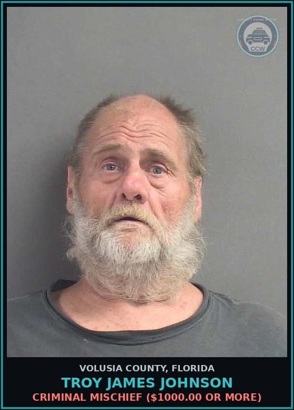 Booking mugshot of TROY JAMES JOHNSON in Volusia County