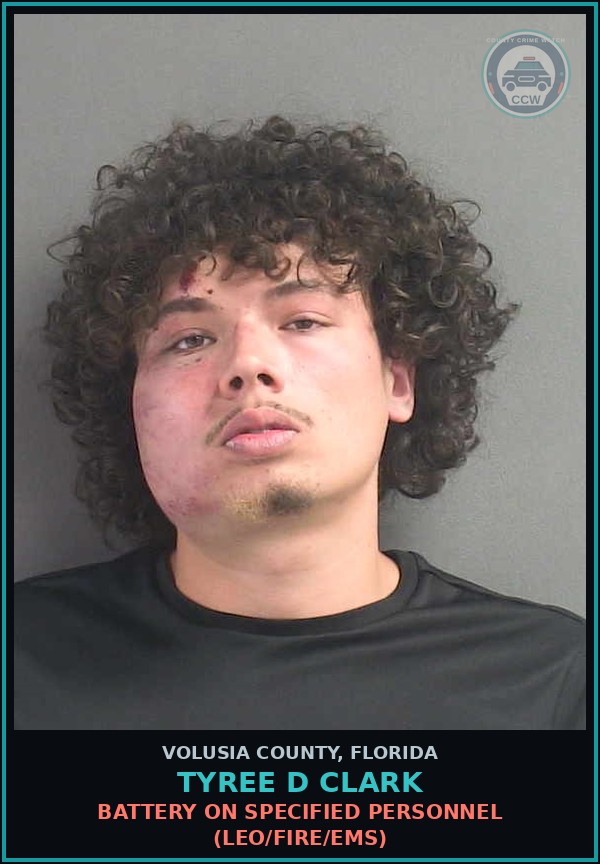 Booking mugshot of TYREE D CLARK in Volusia County