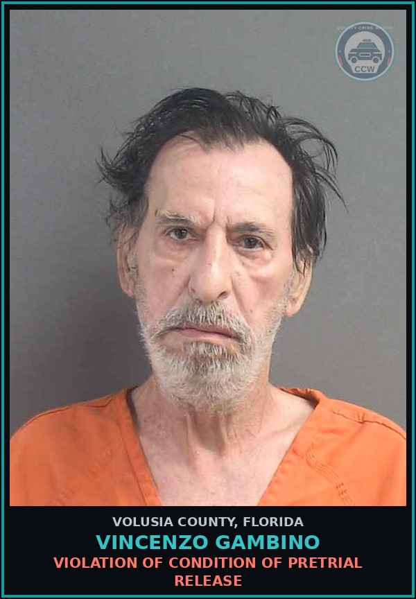 Booking mugshot of VINCENZO GAMBINO in Volusia County