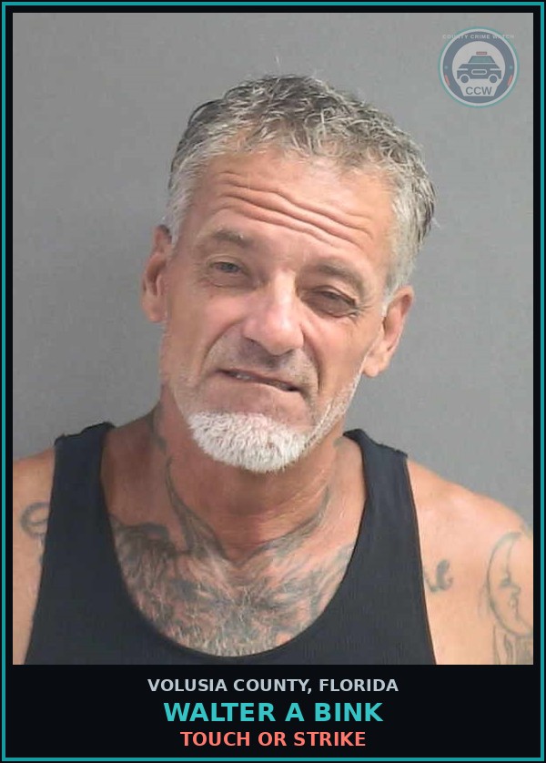 Booking mugshot of WALTER A BINK in Volusia County