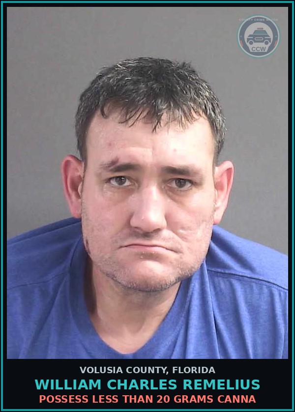 Booking mugshot of WILLIAM CHARLES REMELIUS in Volusia County