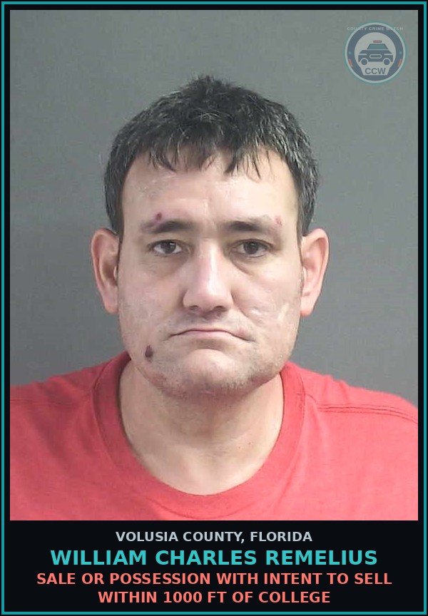 Booking mugshot of WILLIAM CHARLES REMELIUS in Volusia County