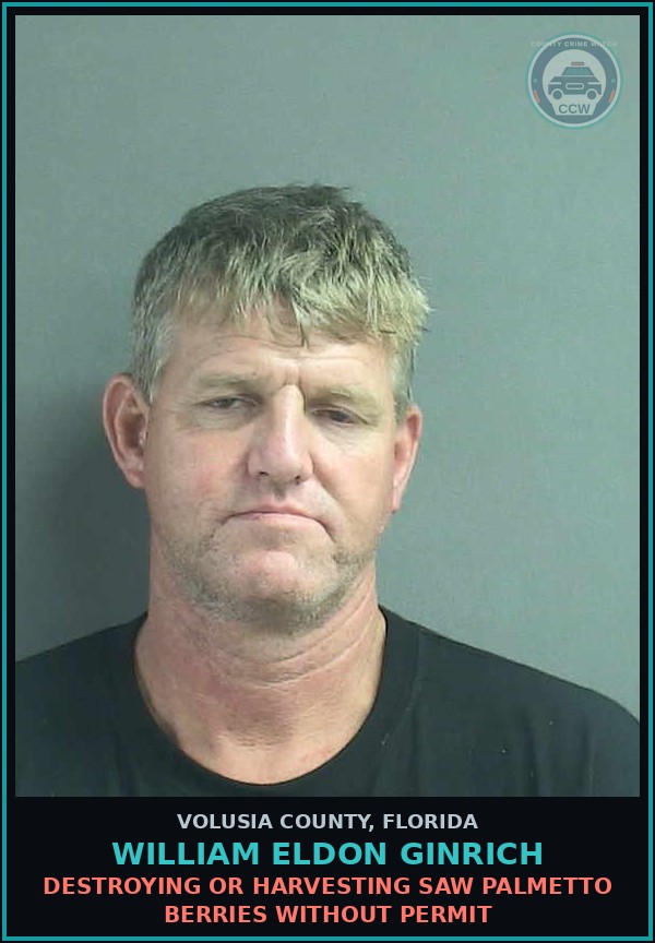 Booking mugshot of WILLIAM ELDON GINRICH in Volusia County