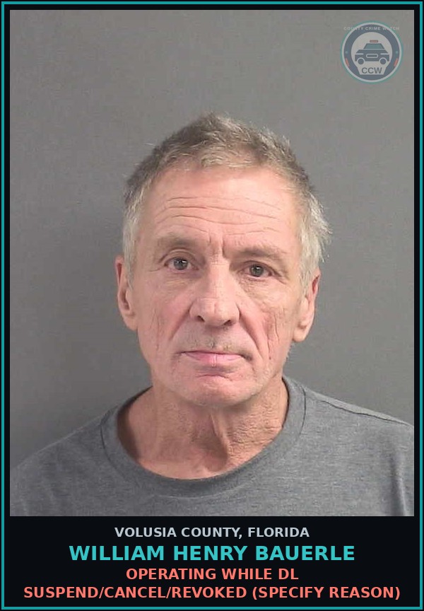 Booking mugshot of WILLIAM HENRY BAUERLE in Volusia County