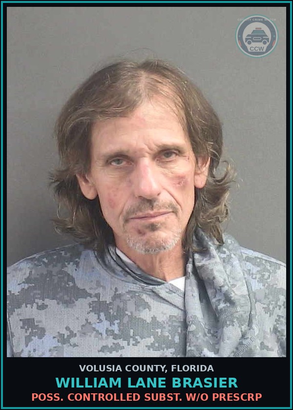 Booking mugshot of WILLIAM LANE BRASIER in Volusia County