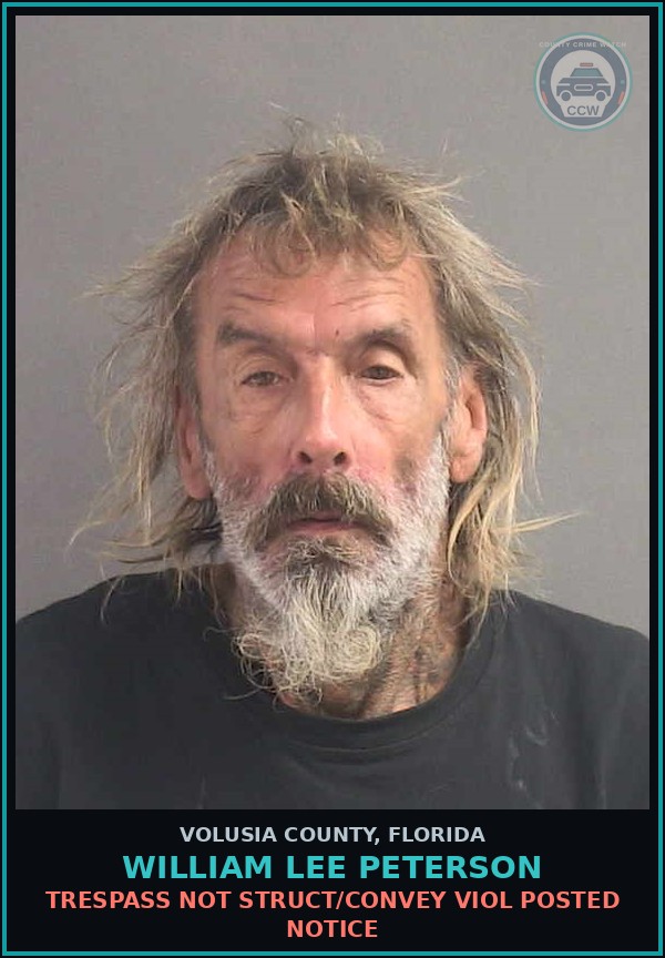 Booking mugshot of WILLIAM LEE PETERSON in Volusia County