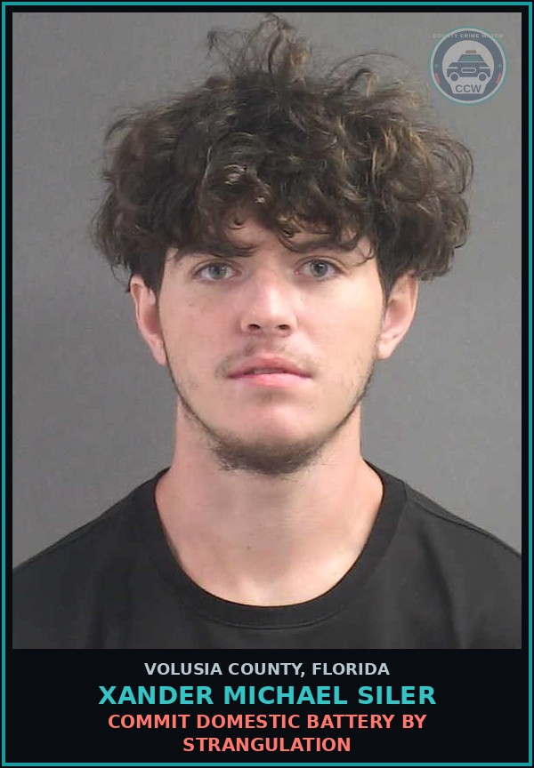 Booking mugshot of XANDER MICHAEL SILER in Volusia County