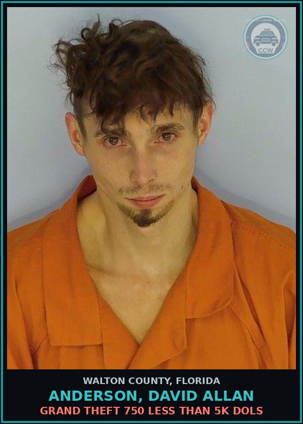 Booking mugshot of ANDERSON, DAVID ALLAN in Walton County