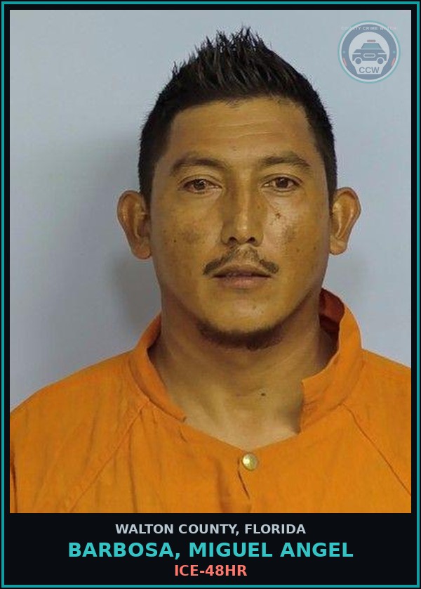 Booking mugshot of BARBOSA, MIGUEL ANGEL in Walton County