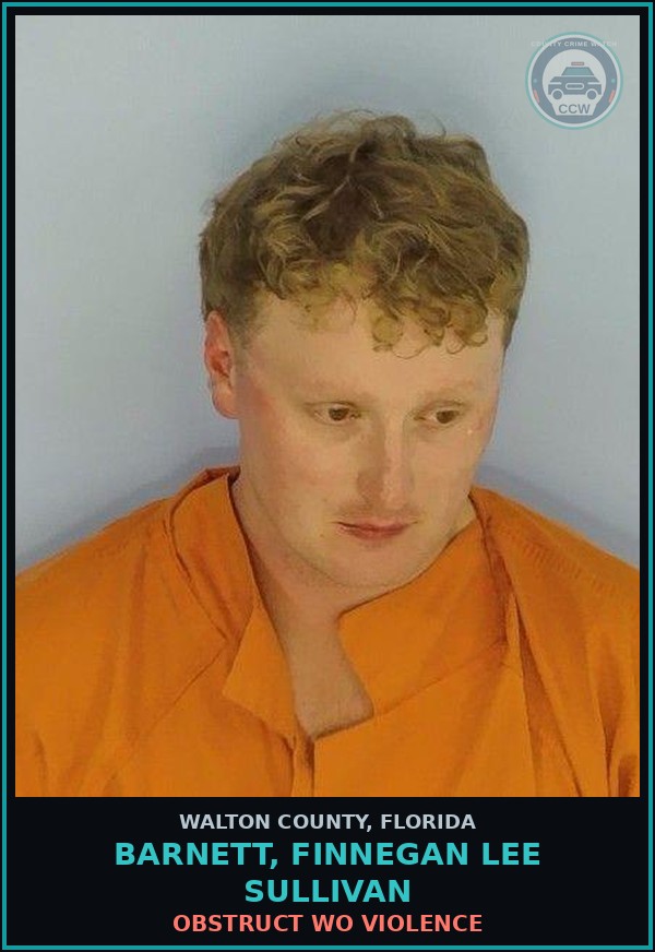 Booking mugshot of Barnett, Finnegan Lee Sullivan in Walton County