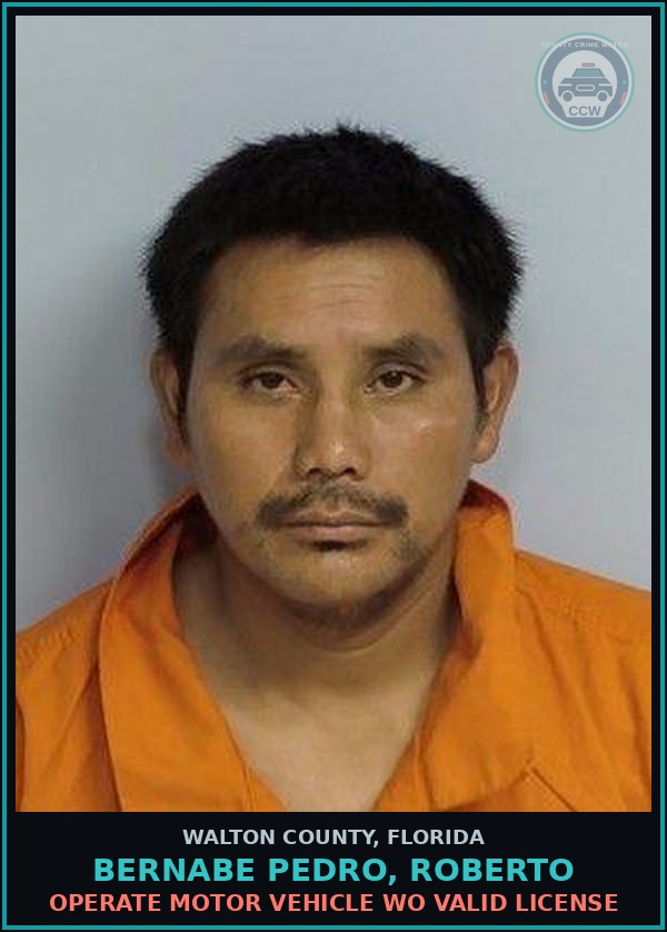 Booking mugshot of BERNABE PEDRO, ROBERTO in Walton County