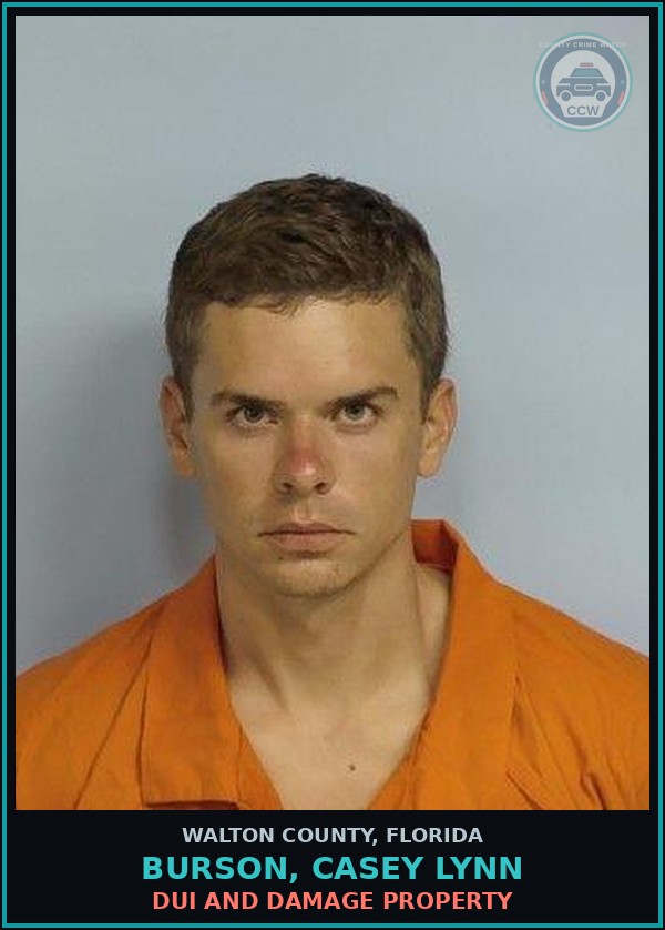 Booking mugshot of BURSON, CASEY LYNN in Walton County