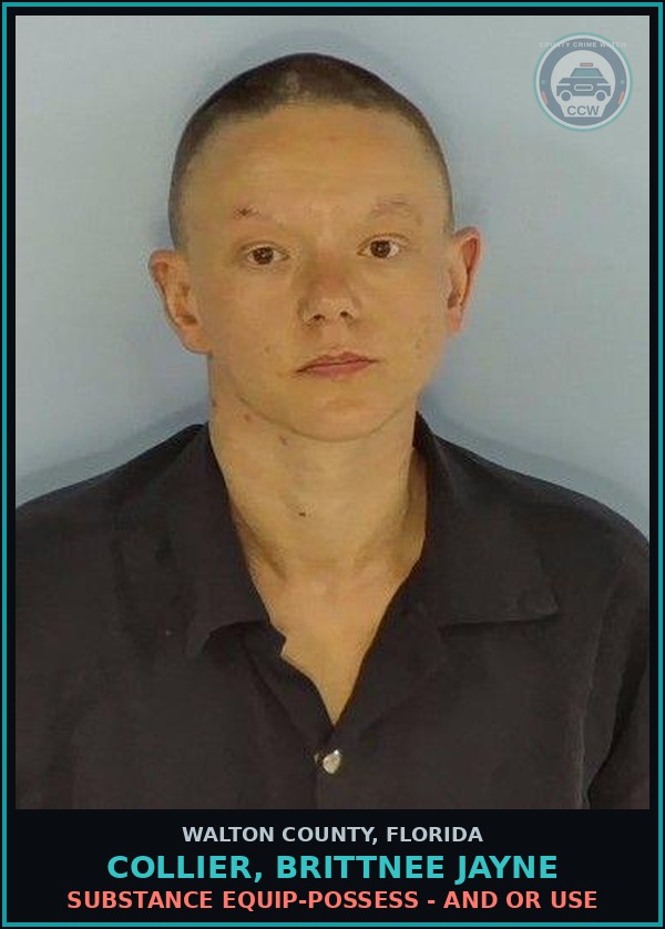 Booking mugshot of COLLIER, BRITTNEE JAYNE in Walton County