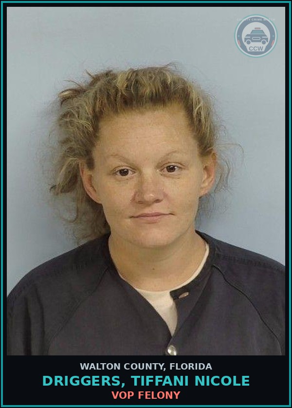 Booking mugshot of DRIGGERS, TIFFANI NICOLE in Walton County