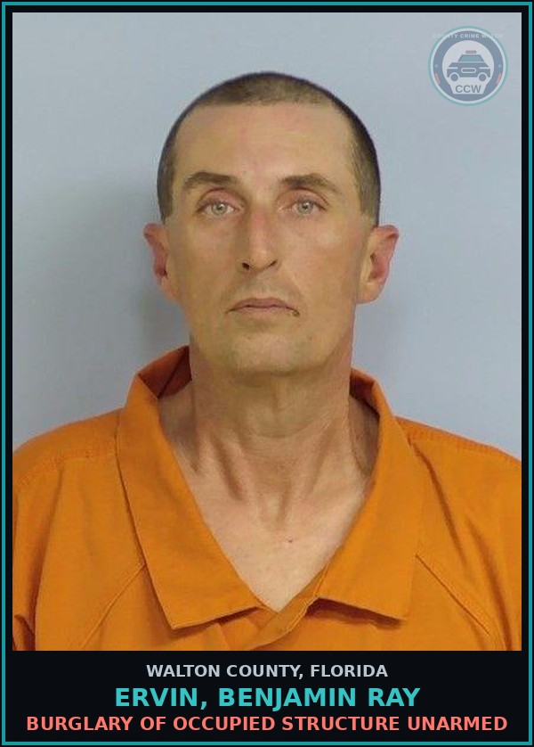 Booking mugshot of ERVIN, BENJAMIN RAY in Walton County
