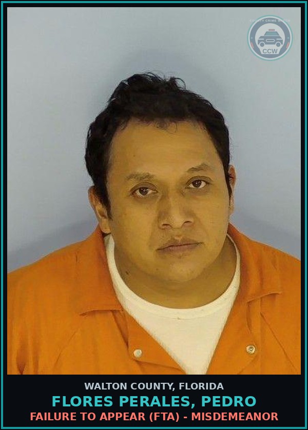 Booking mugshot of FLORES PERALES, PEDRO in Walton County