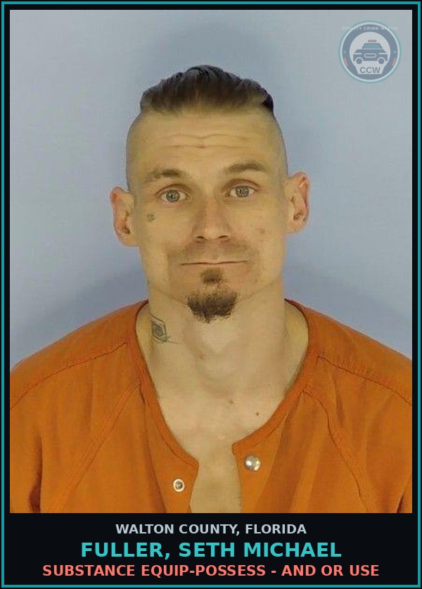 Booking mugshot of FULLER, SETH MICHAEL in Walton County