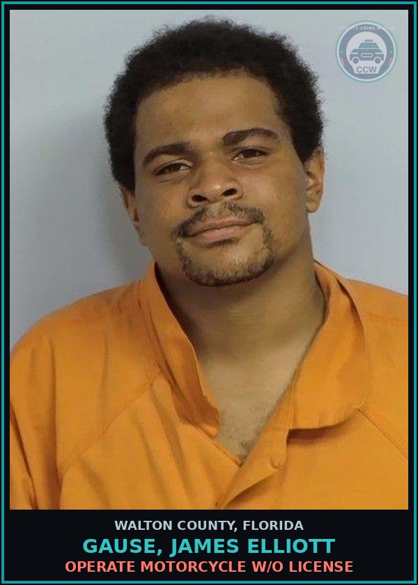 Booking mugshot of GAUSE, JAMES ELLIOTT in Walton County