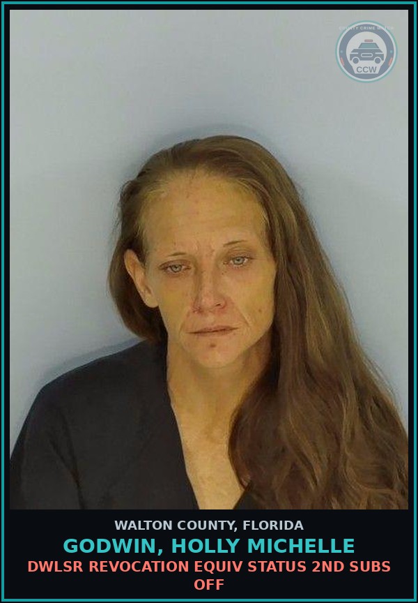 Booking mugshot of GODWIN, HOLLY MICHELLE in Walton County