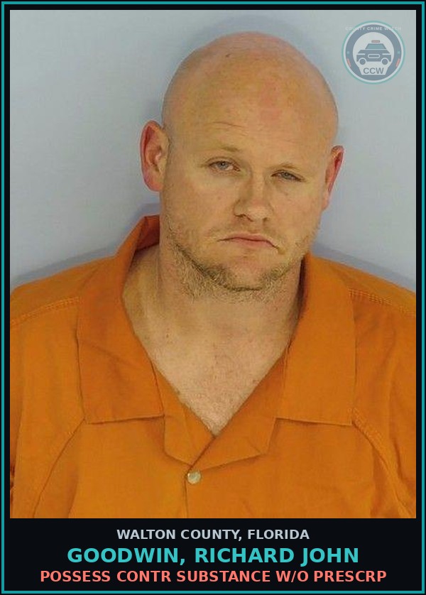 Booking mugshot of GOODWIN, RICHARD JOHN in Walton County