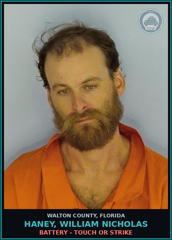 Booking mugshot of HANEY, WILLIAM NICHOLAS in Walton County