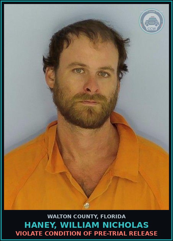 Booking mugshot of HANEY, WILLIAM NICHOLAS in Walton County