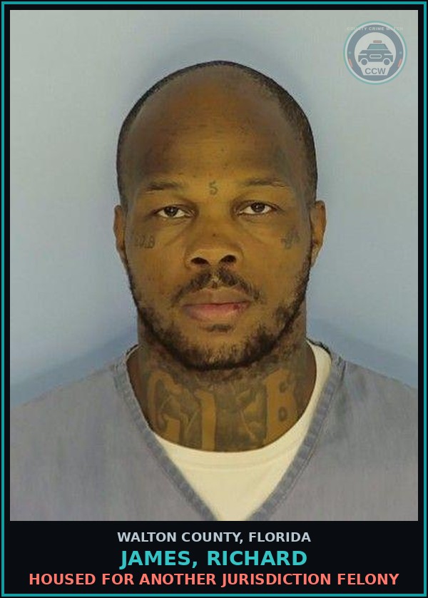 Booking mugshot of JAMES, RICHARD in Walton County