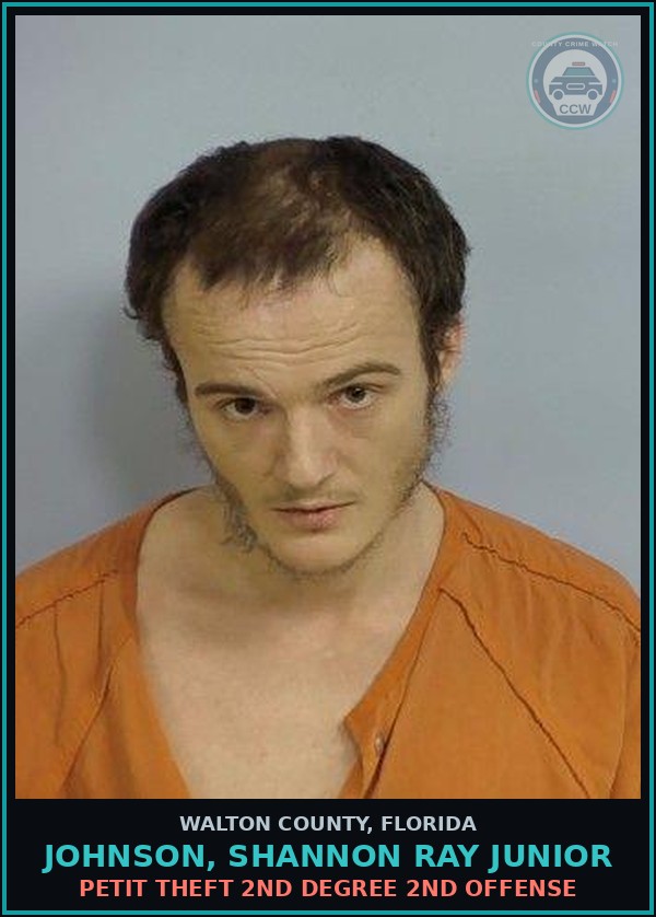 Booking mugshot of JOHNSON, SHANNON RAY Junior in Walton County