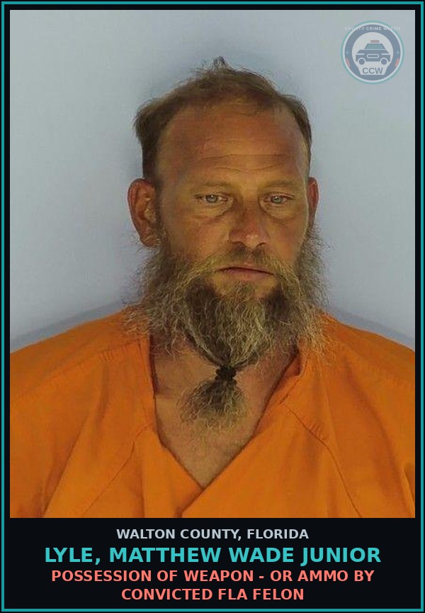 Booking mugshot of Lyle, Matthew Wade Junior in Walton County