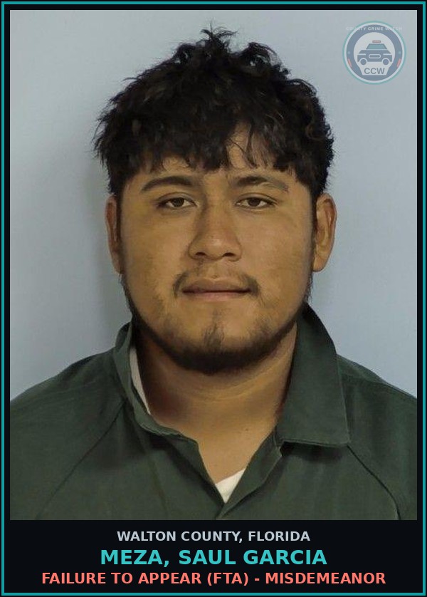 Booking mugshot of MEZA, SAUL GARCIA in Walton County