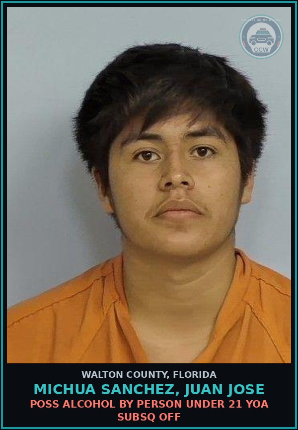 Booking mugshot of MICHUA SANCHEZ, JUAN JOSE in Walton County