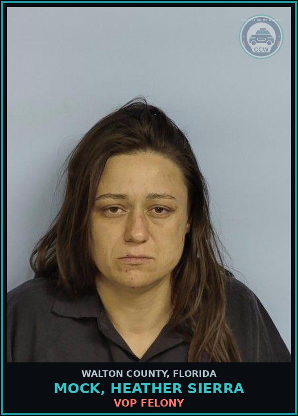 Booking mugshot of MOCK, HEATHER SIERRA in Walton County