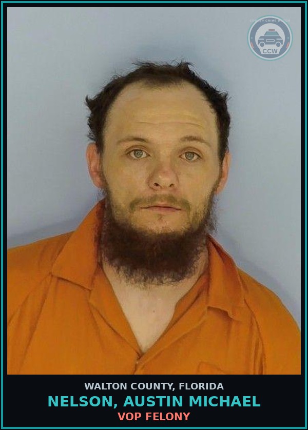 Booking mugshot of NELSON, AUSTIN MICHAEL in Walton County