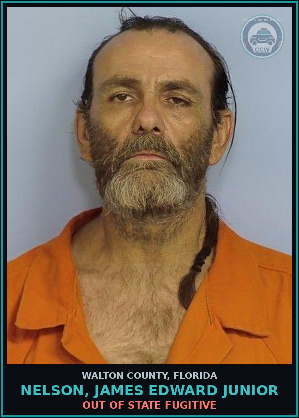 Booking mugshot of NELSON, JAMES EDWARD Junior in Walton County
