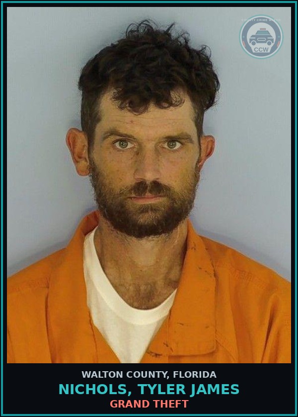 Booking mugshot of NICHOLS, TYLER JAMES in Walton County