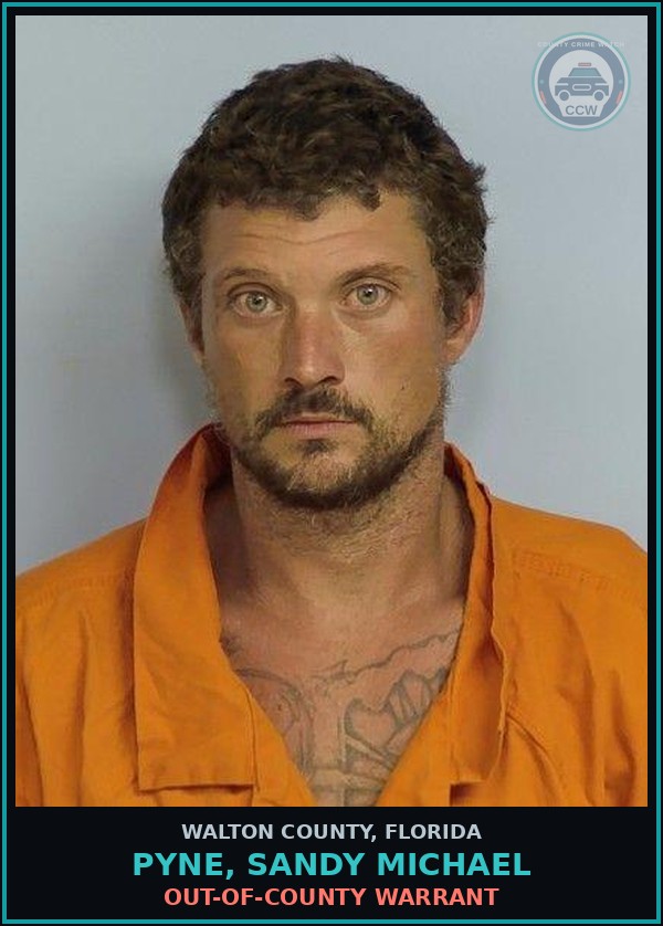Booking mugshot of PYNE, SANDY MICHAEL in Walton County