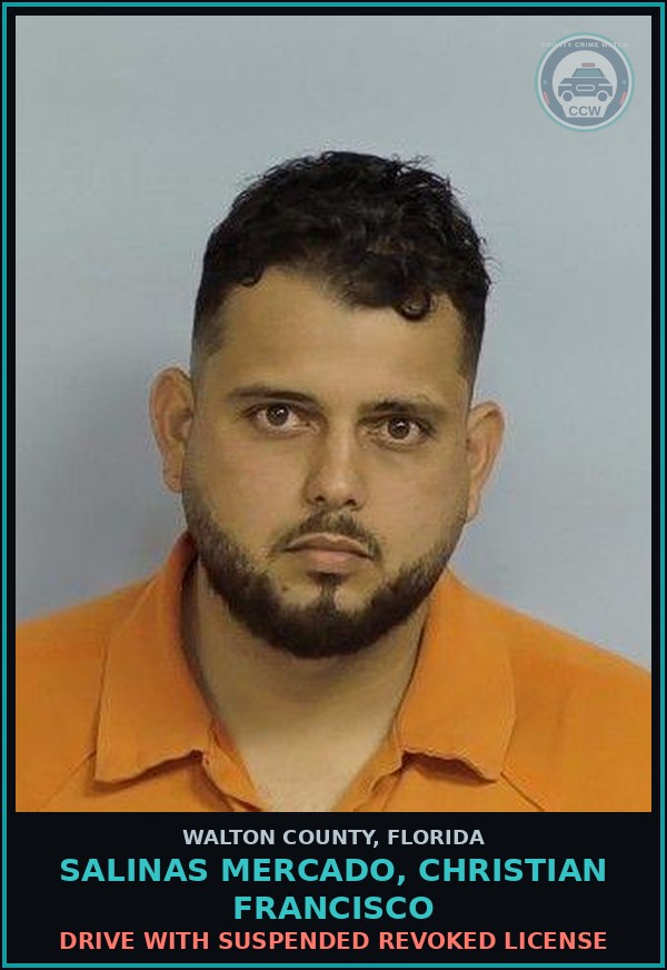 Booking mugshot of SALINAS MERCADO, CHRISTIAN FRANCISCO in Walton County