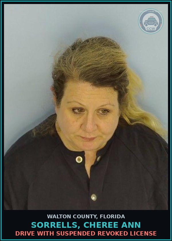 Booking mugshot of SORRELLS, CHEREE ANN in Walton County