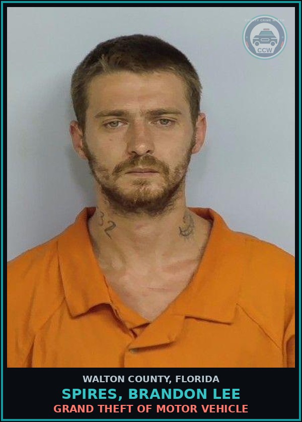 Booking mugshot of SPIRES, BRANDON LEE in Walton County
