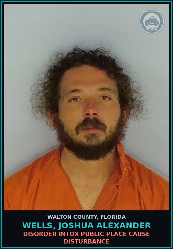 Booking mugshot of WELLS, JOSHUA ALEXANDER in Walton County
